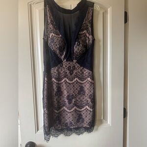 Lush Navy and Cream Lace Mini Dress